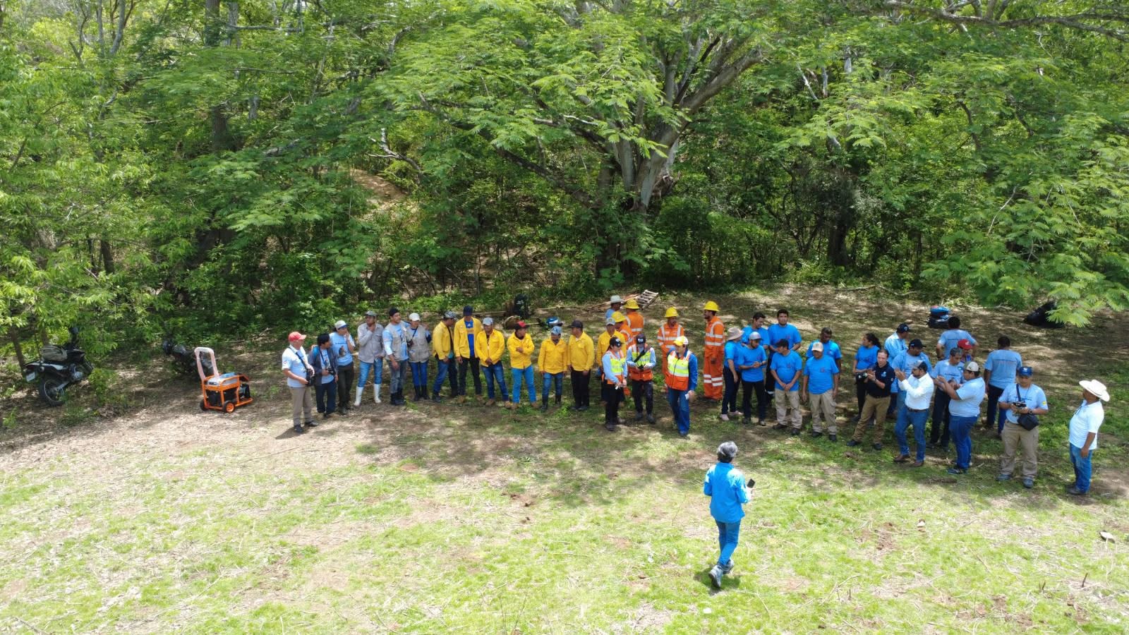 El pulso verde de la tierra: Cuando los ríos recuperan su sombra