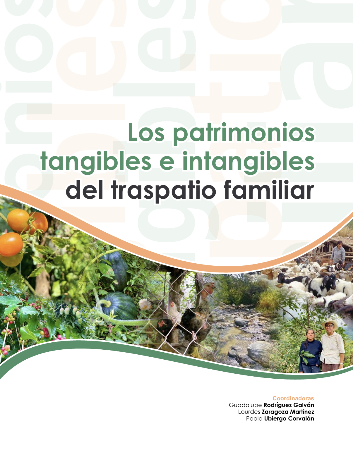 Visibilizan el valor socioproductivo del traspatio familiar mediante obra científica editada en la UNACH